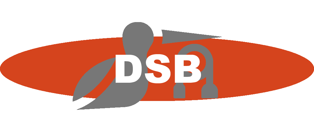 DSB2